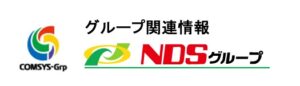 NDSグループ